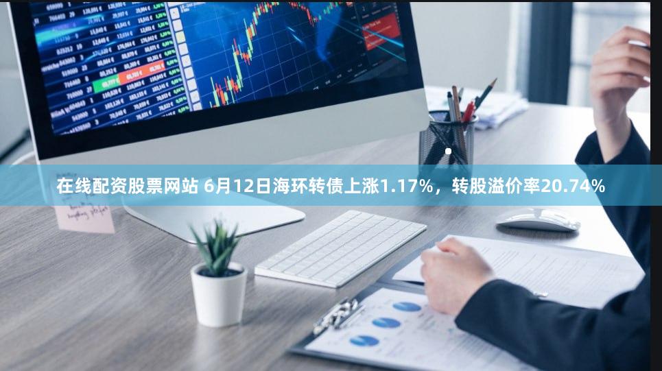 在线配资股票网站 6月12日海环转债上涨1.17%，转股溢价率20.74%