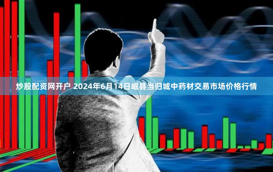 炒股配资网开户 2024年6月14日岷县当归城中药材交易市场价格行情