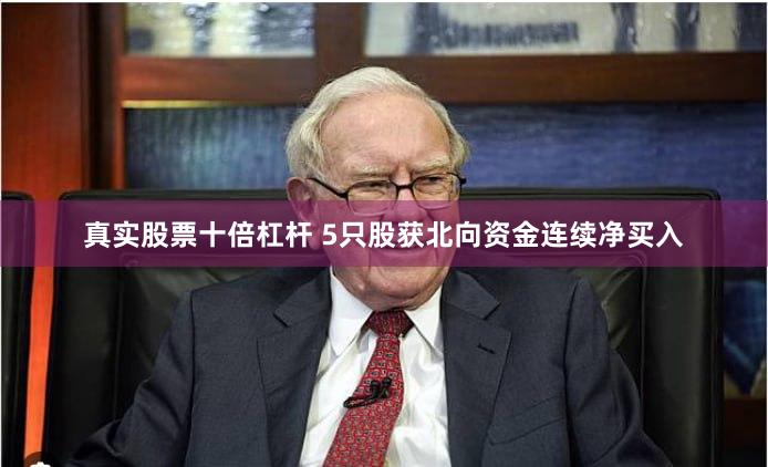 真实股票十倍杠杆 5只股获北向资金连续净买入