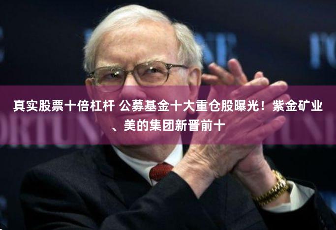 真实股票十倍杠杆 公募基金十大重仓股曝光！紫金矿业、美的集团新晋前十