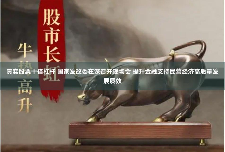 真实股票十倍杠杆 国家发改委在深召开现场会 提升金融支持民营经济高质量发展质效