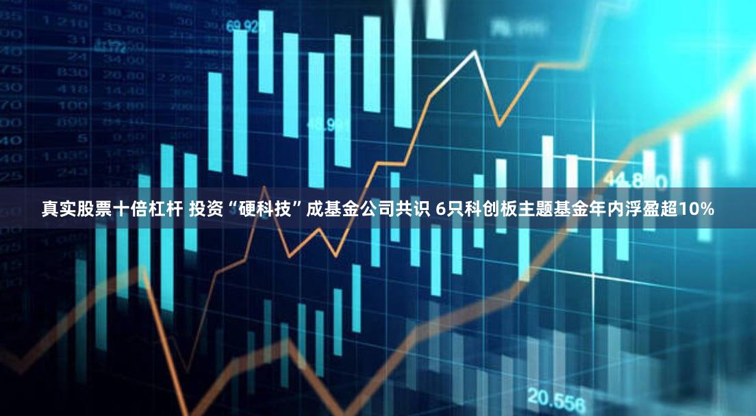 真实股票十倍杠杆 投资“硬科技”成基金公司共识 6只科创板主题基金年内浮盈超10%