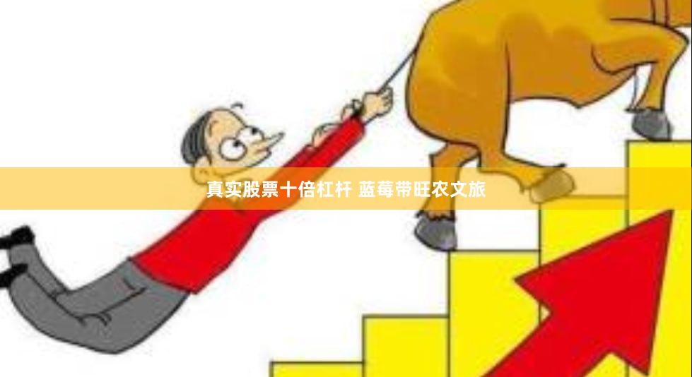 真实股票十倍杠杆 蓝莓带旺农文旅