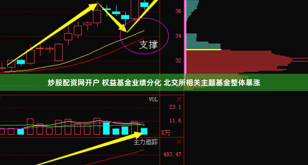 炒股配资网开户 权益基金业绩分化 北交所相关主题基金整体暴涨